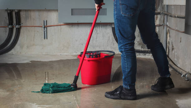 Best Flooded house restoration  in Lakewood, SC