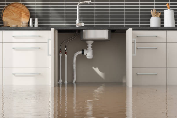  Lakewood, SC Water damage restoration Pros